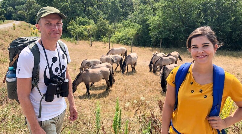 Michael zeigt Anna die Konik-Herde im WWF-Auenschutzreservat Marchegg. Weiteres Bildmaterial finden Sie unter www.br-foto.de. – Bild: BR/​Text und Bild Medienproduktion GmbH & Co. KG/​Marcella Müller