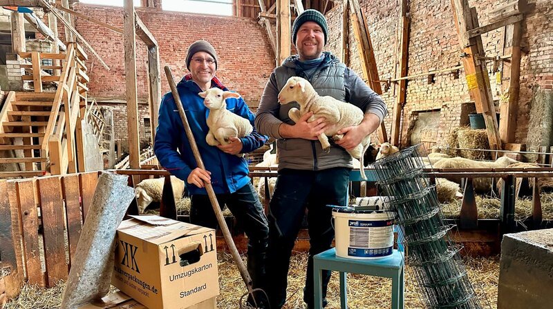 Michael Haider und Andreas Vogel ziehen mit ihrer Schäferei in eine historische Scheune um. – Bild: NDR/Cornelia Helms Michael Haider und Andreas Vogel ziehen mit ihrer Schäferei in eine historische Scheune um. – Bild: NDR/Cornelia Helms