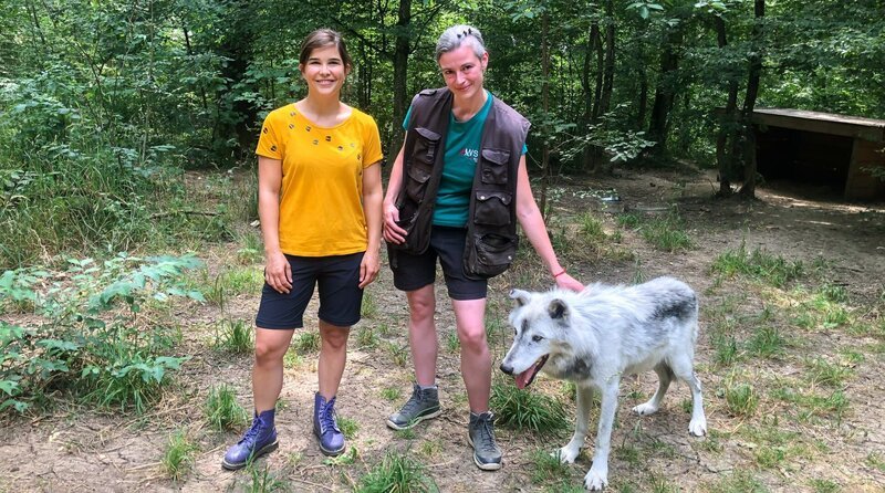 Im Wolf Science Center darf Anna (links) mit Tiertrainerin Lina zu den Wölfen ins Gehege gehen. – Bild: BR/​Text und Bild Medienproduktion GmbH & Co. KG/​Marcella Müller