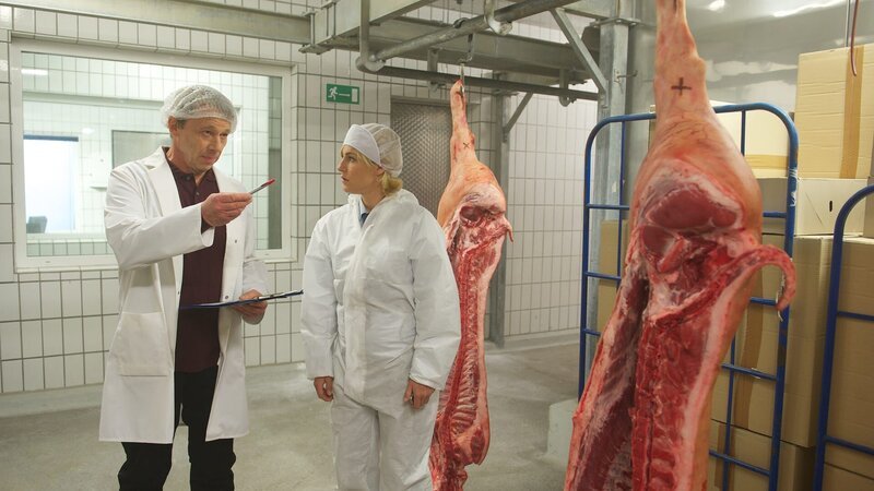 Ole Grigor (Ulrich Wiggers), Leena Virtanen (Li Hagman). – Bild: ZDF und Marc Meyerbroeker