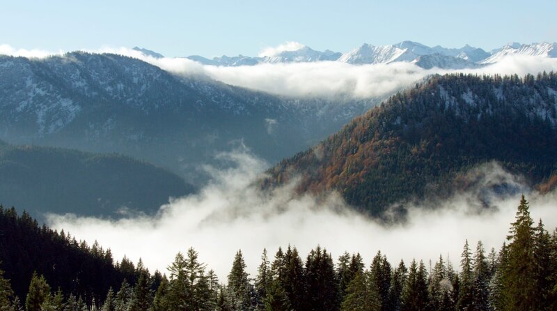 Das Mangfallgebirge bietet Lebensräume, die im Flachland bereits verloren sind. Weiteres Bildmaterial finden Sie unter www.br-foto.de. – Bild: BR/Bernhard Rübe Das Mangfallgebirge bietet Lebensräume, die im Flachland bereits verloren sind. Weiteres Bildmaterial finden Sie unter www.br-foto.de. – Bild: BR/Bernhard Rübe