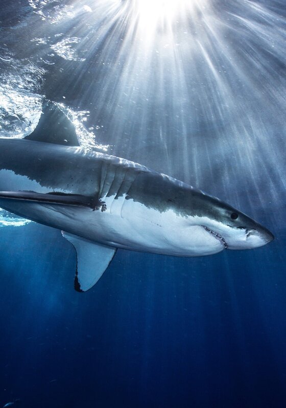 Bild: Warner Discovery Inc