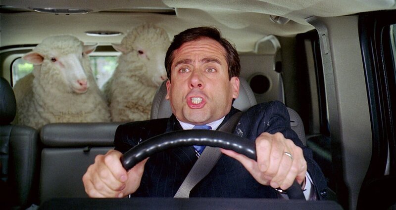 Evan Baxter (Steve Carell ) – Bild: RTL Evan Baxter (Steve Carell ) – Bild: RTL