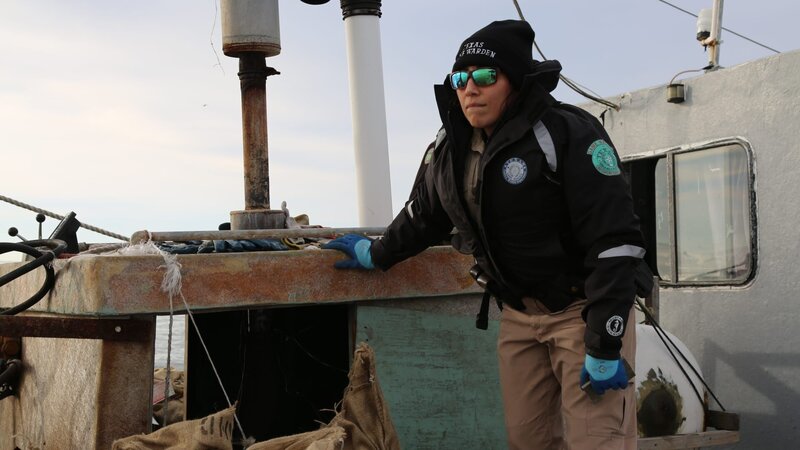 Warden Chelsea Bailey surveys an oyster boat. – Bild: Animal Planet /​ Discovery Communications, LLC