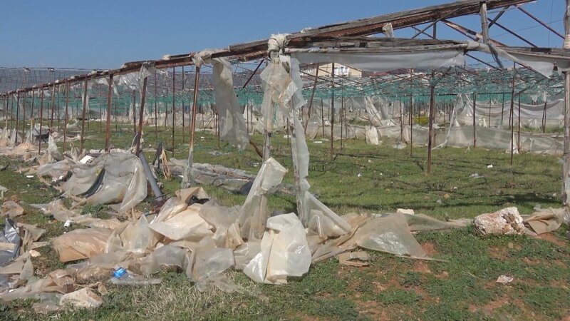 Die Agrar-Mafia – Bild: ZDF