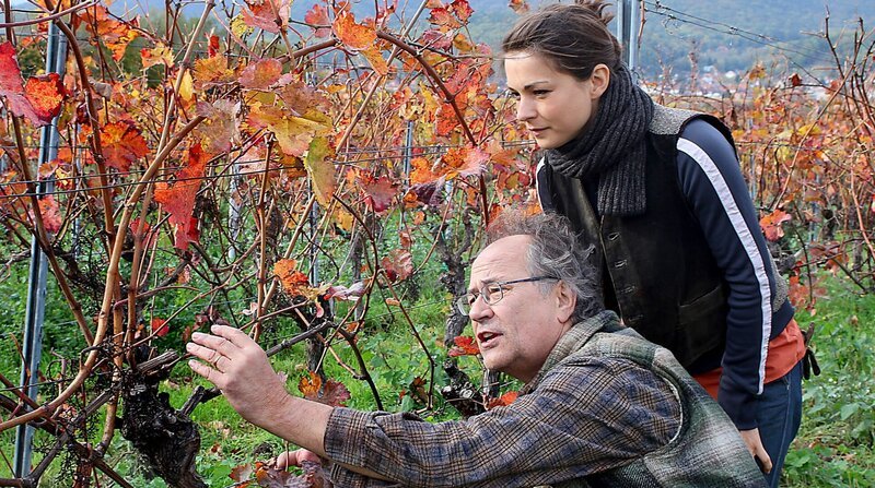 Die talentierte Winzerin Anne (Henriette Richter-Röhl) will in die Fußstapfen ihres Vaters Albert (Hartmut Volle) treten. – Bild: ARD Degeto/​Johannes Krieg