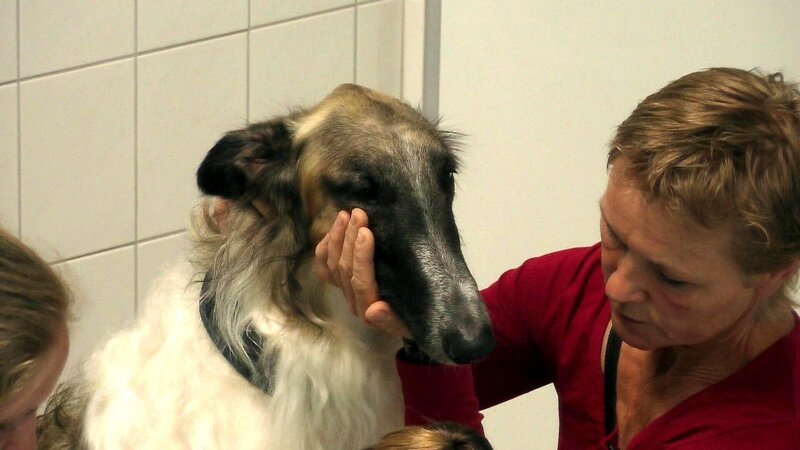 Bild: RTL
