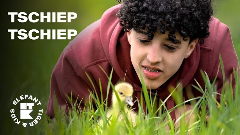 In der Wildvogelstation in Dresden versorgen die Jugendlichen verletzte Bussarde und Rotmilane und lernen die Gänseküken Gisela und Corey kennen, die ihnen auf Schritt und Tritt folgen. – Bild: MDR/​Cine Impuls Leipzig GmbH