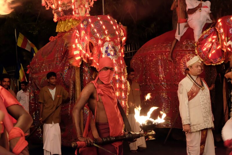Sri Lanka - Insel der Hoffnung – Bild: ORF/​Werner Zips Filmproduktion/​Angelica V. Marte