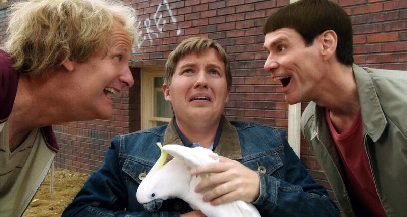 Dumm und Dümmehr – Bild: TVNOW /​ DDTo Finance, LLC