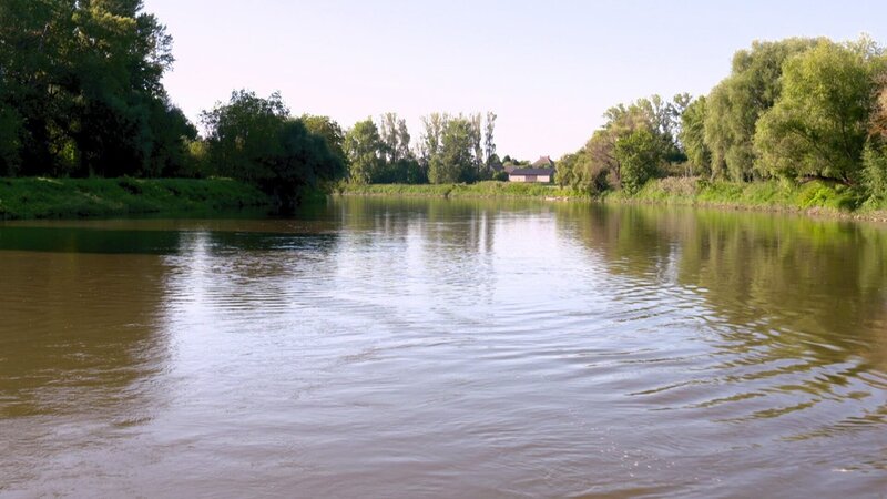 Die March. – Bild: ORF/​Pammer Film