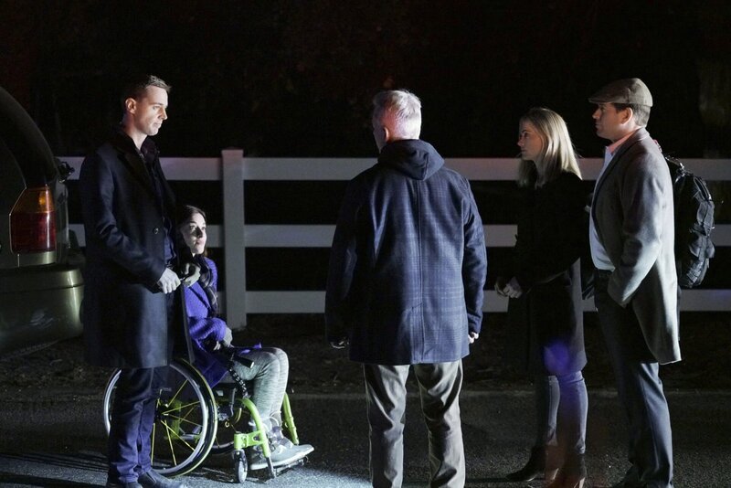 L-R: McGee (Sean Murray), Delilah (Margo Harshman), Gibbs (Mark Harmon), Bishop (Emily Wickersham) and Anthony DiNozzo (Michael Weatherly) – Bild: CBS Broadcasting, Inc.