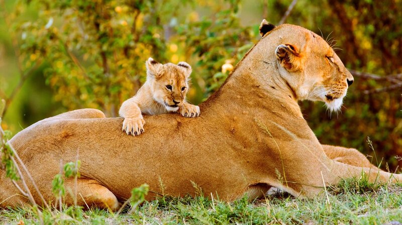 Bild: NDR/​Reinhard Radke