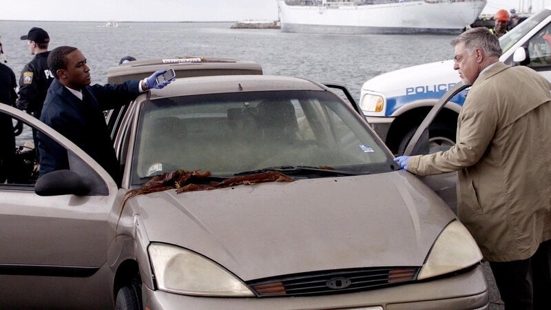 Detective Barry Korsak (Bruce McGill, r.) und Detective Frost (Lee Thompson Young) finden das Auto des Opfers. Es muss schnell aus dem Hafen herausgefischt werden. – Bild: VOXup