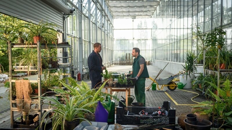 Kriminaloberkommissar Lars Pöhlmann (Dominic Boeer, l.) besucht nochmals den Kollegen des Opfers, Pit Kanther (Günther Harder, r.) im Botanischen Garten. Dieser macht aus seinem Interesse für Imke Brehm kein Geheimnis, verneint jedoch, ein Verhältnis mit ihr gehabt zu haben. Allerdings hegten die beiden Pläne, ihren Arbeitsmittelpunkt nach Hamburg zu verlegen, um dort besser forschen zu können. – Bild: ZDF und ZDF /​ Meyerbroeker