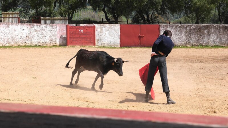 Ein Mann, der in einem Ring Stierkampf spielt – Bild: xplore