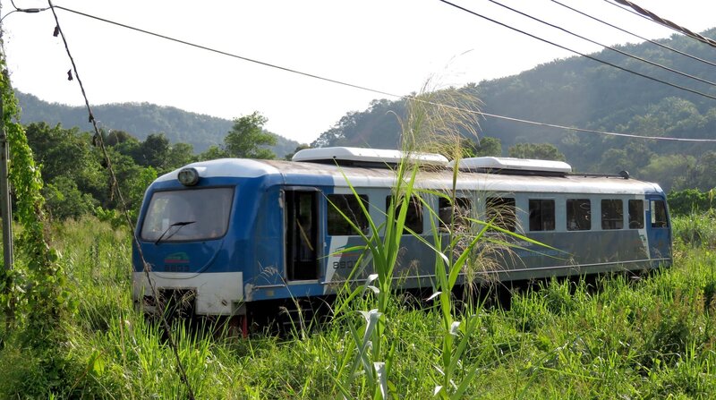 Unterwegs in den Dschungel von Sabah: der Regionalzug zwischen Beaufort und Tenom. 2011 erweiterte die Staatsbahn ihren Fuhrpark um einige neue japanische Dieseltriebwagen. – Bild: BR/​SWR/​Susanne Mayer-Hagmann