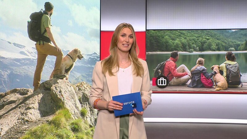Bild: RTL