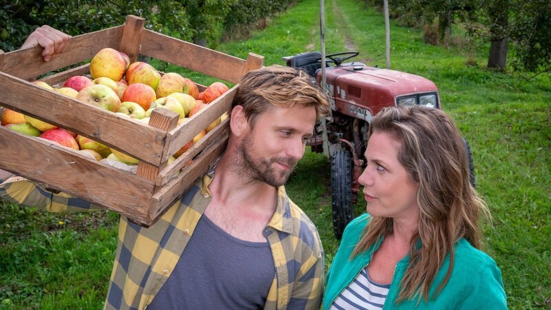 Schon in ihrer Jugend waren Paul Harms (Steve Windolf) und Beke Rieper (Felicitas Woll) in einander verliebt. Davon schein noch viel da zu sein, denn seit ihrer Rückkehr ins Alte Land verbringen sie viel Zeit miteinander. – Bild: ZDF und Boris Laewen