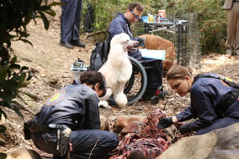 Temperance Brennan (Emily Deschanel, re.) – Bild: Fox