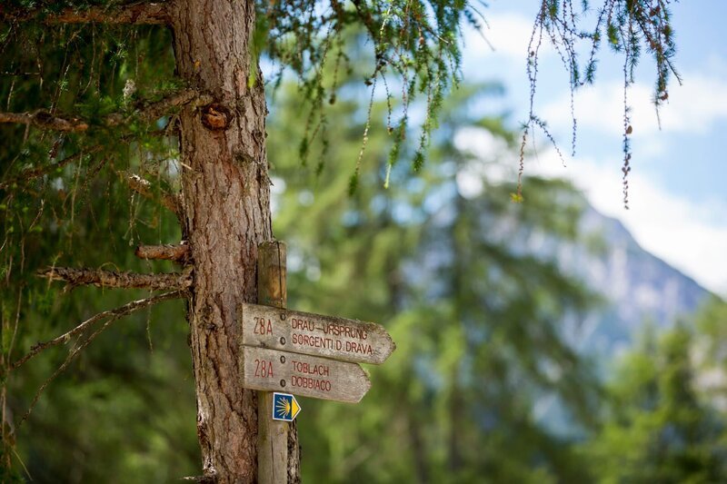 Die Drau entspringt am Nordabhang des Neunerkofels (Haunoldgruppe) oberhalb des Toblacher Feldes im Pustertal in Südtirol (Italien) im Gemeindegebiet von Toblach (italienisch Dobbiaco). Das Wasser ihrer fünf Hauptquellen fließt ein paar hundert Meter über steile Wiesen und Waldböden zur Talsohle, wo sich erst ein richtiges Bachbett bildet. So überwindet die Drau bereits auf den ersten zehn Kilometern über 430 Höhenmeter. – Bild: ServusTV /​ Daniel Götzhaber