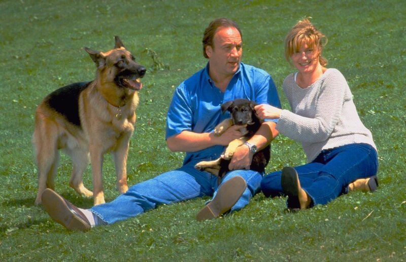 Die attraktive Laura Fields (Kim Huffman) bittet Thomas Dooley (James Belushi), ihren verschwundenen Verlobten zu finden. – Bild: port.hu Die attraktive Laura Fields (Kim Huffman) bittet Thomas Dooley (James Belushi), ihren verschwundenen Verlobten zu finden. – Bild: port.hu