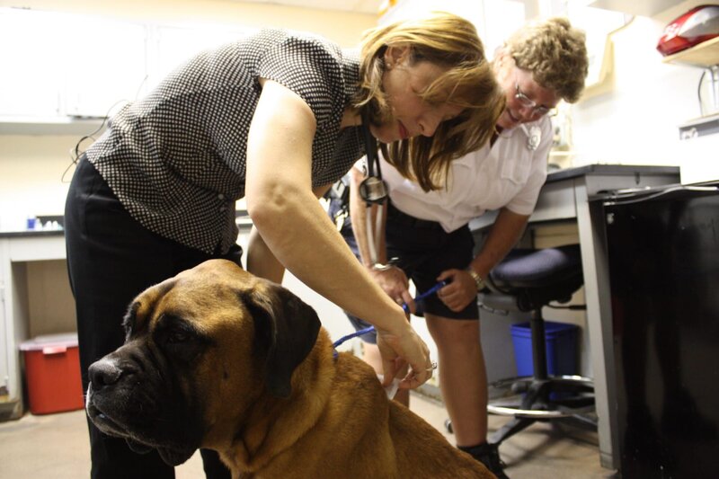 Lisa mit Sarah und Brutus – Bild: TLC/​Discovery Channel