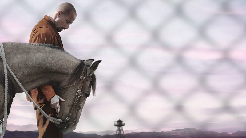 The Mustang – Bild: ORF/​Universal/​Focus Features