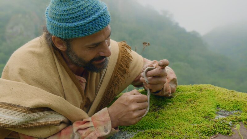 Hazen mit einer beinlosen Eidechse. (National Geographic/​Ossie Bacon) – Bild: Ossie Bacon /​ National Geographic /​ National Geographic