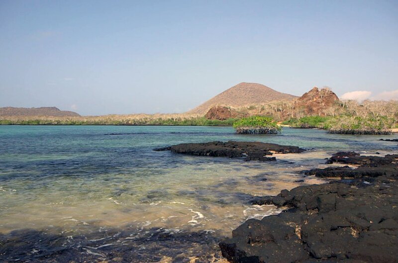 Die Galapagosinseln, Heimat einer einzigartigen Tier- und Pflanzenwelt: 1835 betrat erstmals der junge Charles Darwin dieses Land und fand darin Inspiration für seine revolutionäre Evolutionstheorie. – Bild: Elephant Doc