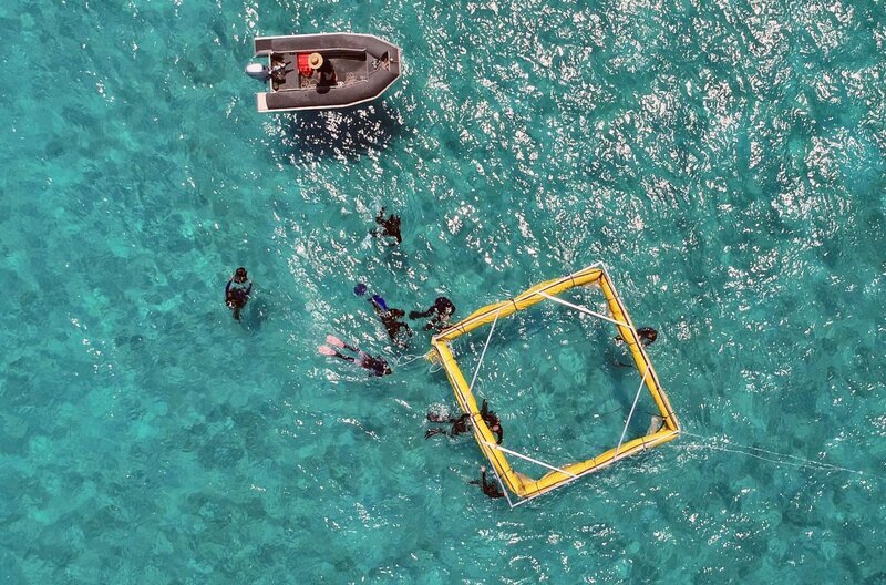 Strände neu aufschütten, gegen invasive Arten kämpfen und Korallenlarven ansiedeln – zum Erhalt der Biodiversität am Great Barrier Reef gibt es viele Methoden. – Bild: Les Gens Bien Productions