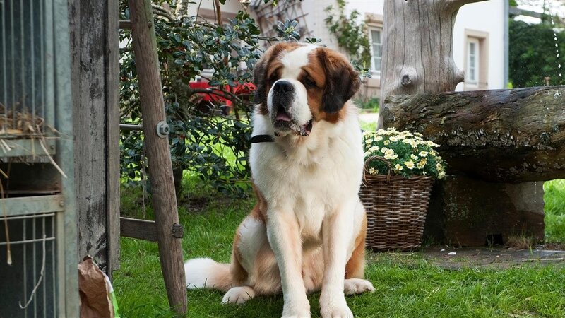 Kaninchenklau – 2 – Bild: SWR/​Maria Wiesler