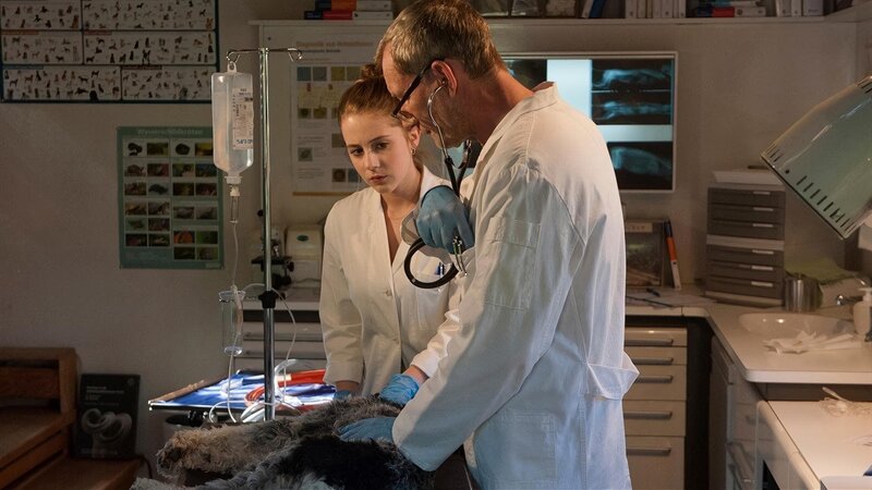 Adlerschwingen – 3; – Bild: SWR/​Maria Wiesler