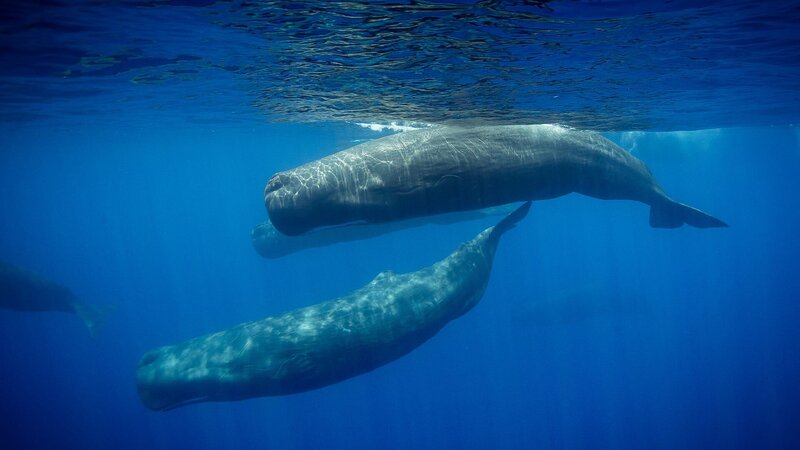 . – Bild: Warner Bros. Discovery