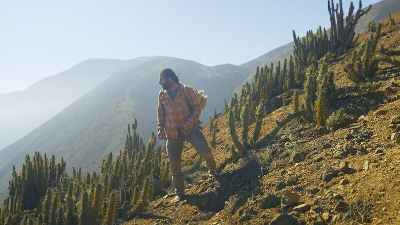 Hazen steht auf einem Berg. (National Geographic) – Bild: National Geographic /​ National Geographic