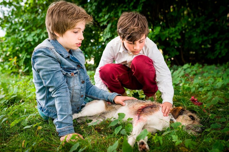 Till (Otto von Grevenmoor, li.) und Ramin (Jann Piet, re.) machen sich große Sorgen um Hündin Socke. – Bild: NDR/​Boris Laewen