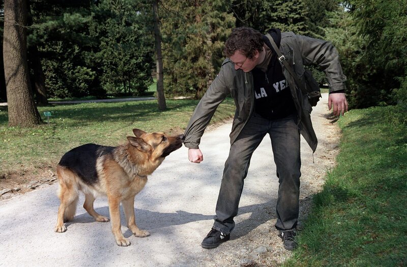 Holger Schober (Jimmy). – Bild: ORF/​Dohr Werb