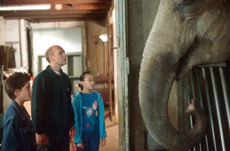 Sören (Felix Beyerbach), Onkel Bernd (Robin Brosch), Kiki (Thuy-Anh Cao). – Bild: NDR/​Televersal