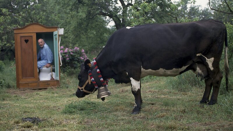 Peter (Peter Lustig) sinniert in seinem Kloschrank darüber, welche Tierchen wohl dafür zuständig sind, die Kuhfladen aus seinem Garten zu entfernen. – Bild: ZDF und Michael Schuff