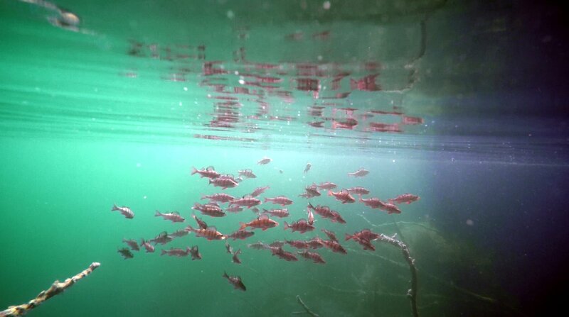 Pulverfass Vulkaneifel – Bild: WDR/​2Pilots Filmproduktion GmbH