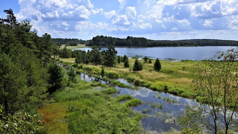 Naturpark Heidenreichsteiner Moor. – Bild: ZDF / ORF/Naturparke Niederösterreich / Robert Herbst Naturpark Heidenreichsteiner Moor. – Bild: ZDF / ORF/Naturparke Niederösterreich / Robert Herbst