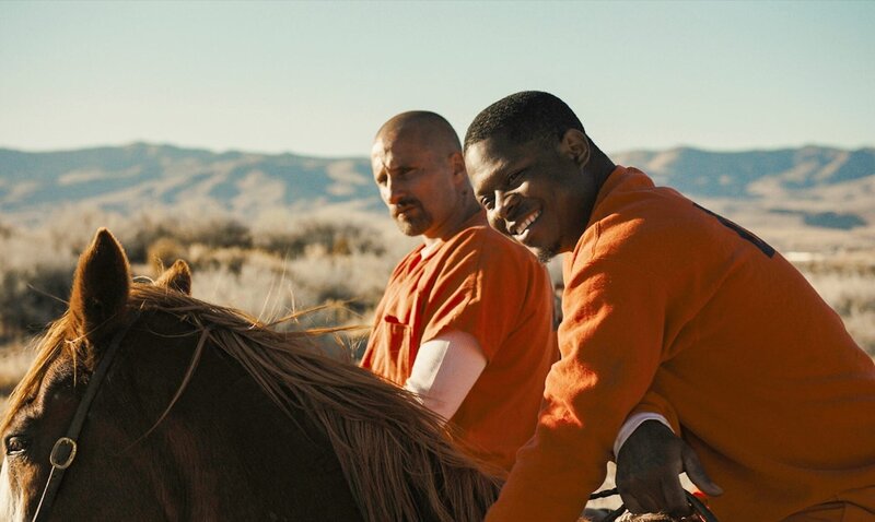 The Mustang – Bild: ORF/​Universal/​Focus Features