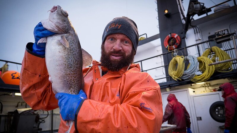 Bild: Joshua Fowler /​ Animal Planet /​ Discovery Communications