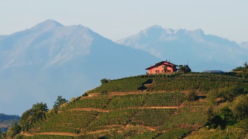 Piemont-Landschaft mit Reben – Bild: SRF/​Autentic