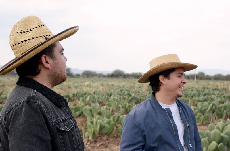 Nopal - Der Alleskönner aus Mexiko – Bild: ARTE