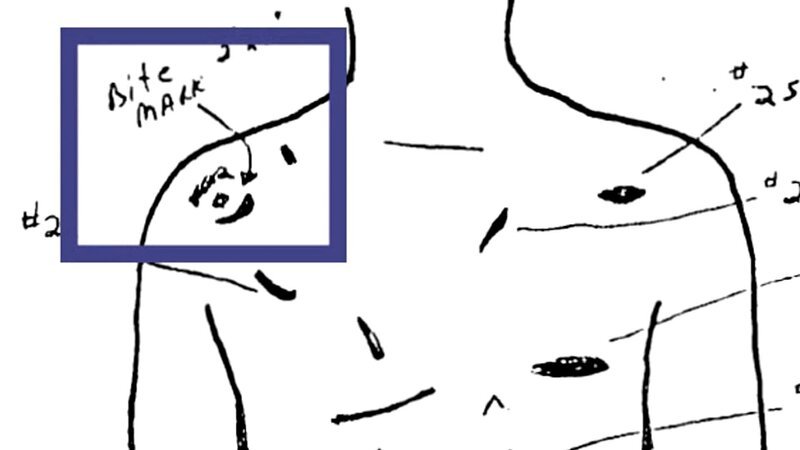 Die forensische Untersuchung – Bild: abacus /​ © Peninsula Television 2021 /​ © Crime + Investigation