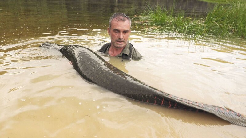 . – Bild: Courtesy of Disney+