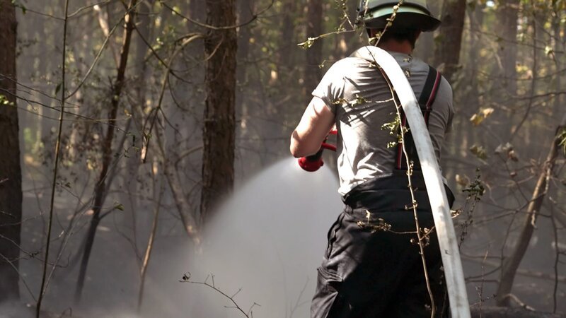 Ein Waldbrand muss gelöscht werden – Bild: RTLZWEI