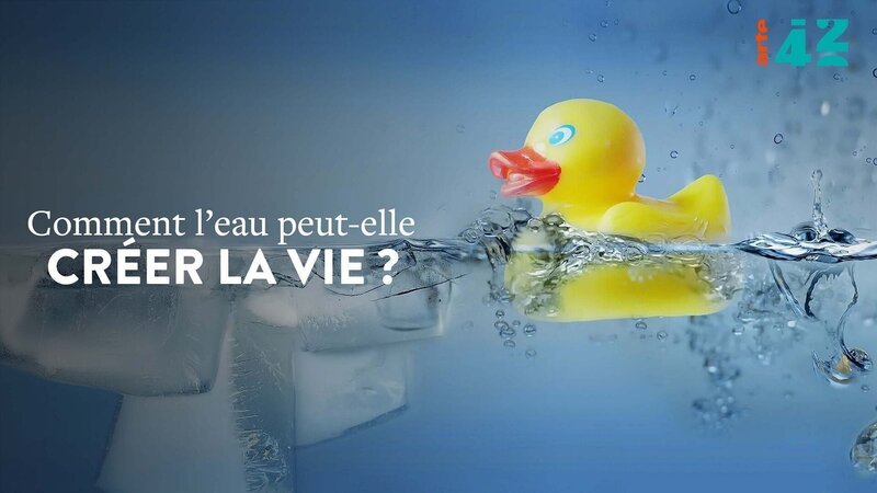 Bild: Arte