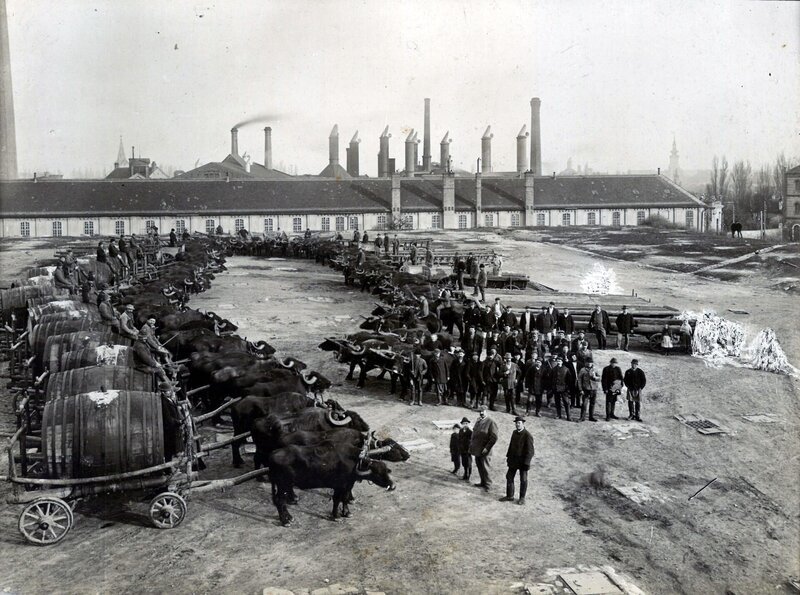 Brauerei Schwechat. – Bild: ORF